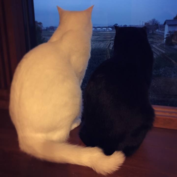 7144110c aeb3 4b9f ac8b e035f76b3168 1511646996589