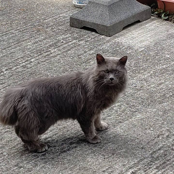 71441ceb c4b9 47fc 840c 74c6ca186184 1647830342352