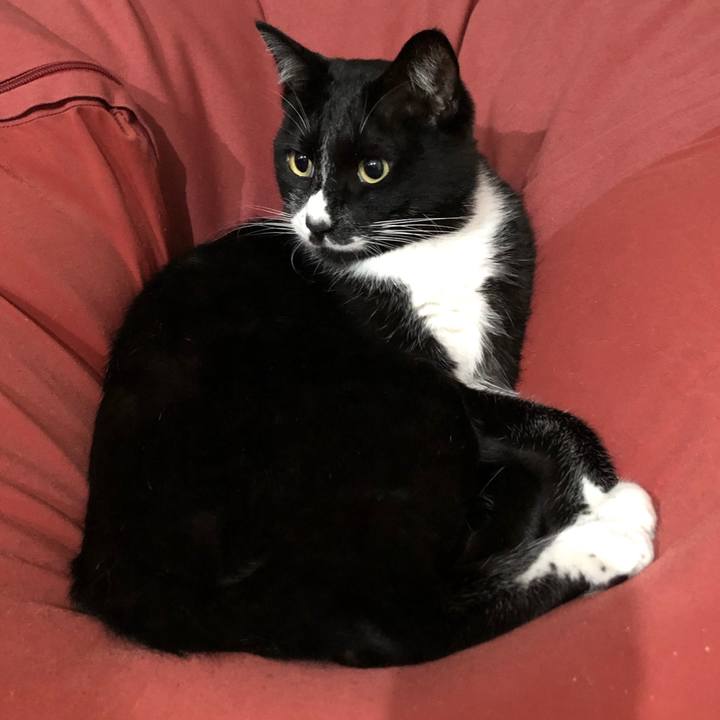 71442eba ad10 48d5 aa9e 708f48a411f9 1635393134060