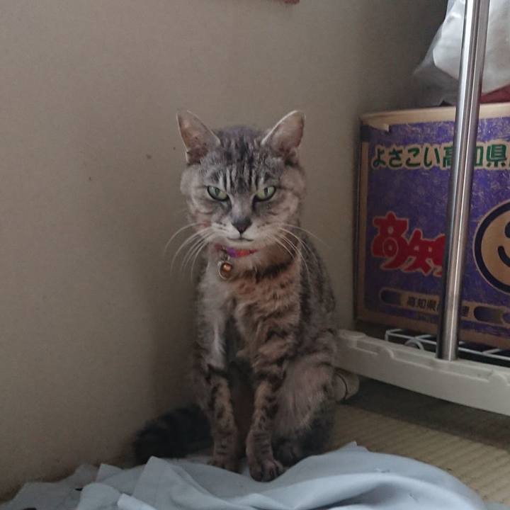 71444d82 1136 4717 aead 45c09e571f07 1592557484877