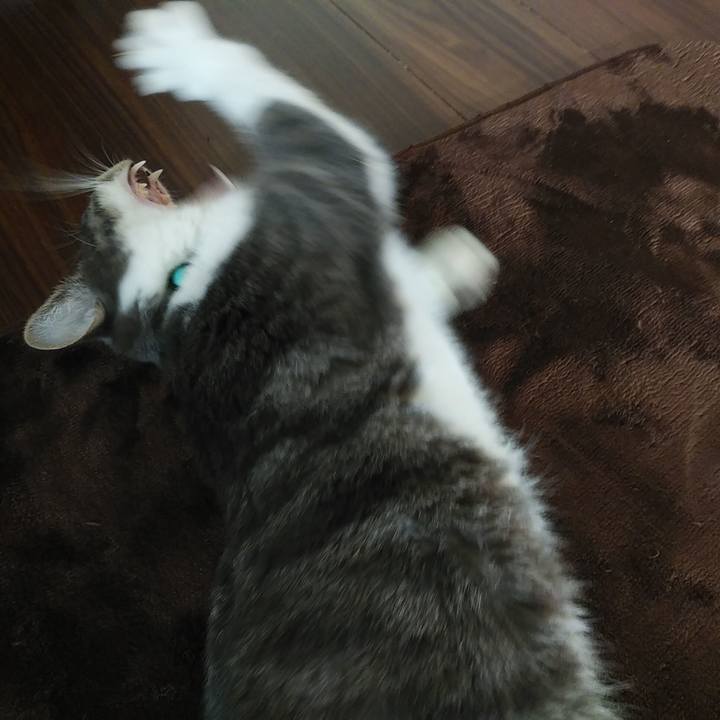 71445193 90f6 48da 9744 55a3e823d812 1581637633111