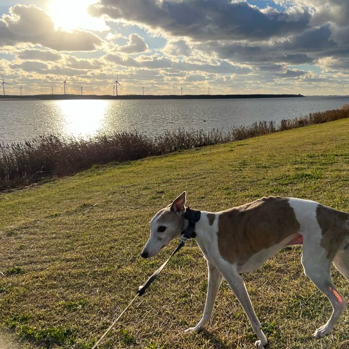 714458ba 5094 4bd9 a5bd 8ff0da043abc 1763195233958