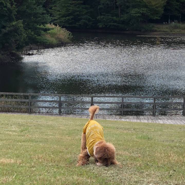 7144620c 8db2 4d25 911e 8aedf855863c 1569726928826