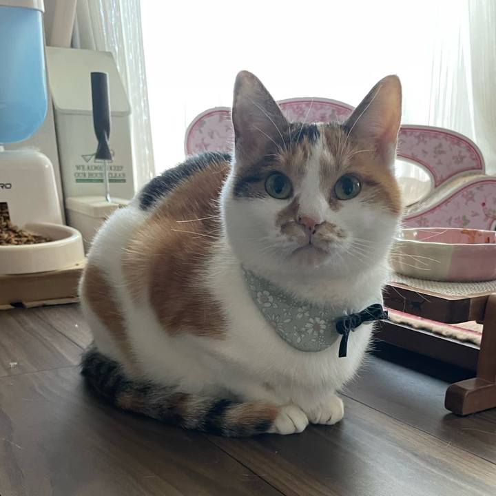 71446763 f880 443b 9f9d f8b488c2a12e 1667519403994