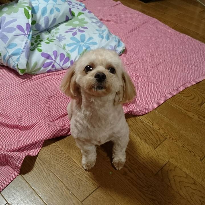 7144f8cd 4961 478f 9c23 8a9d5ac324e7 1531049070496