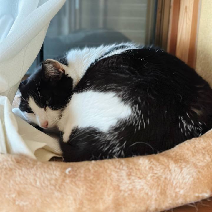 7145331c b4d3 4222 a2f2 c17972f98c52 1717119487175