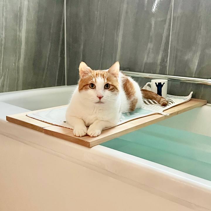 71454bc9 d42c 430f a714 0943d9c4116a 1767485370790