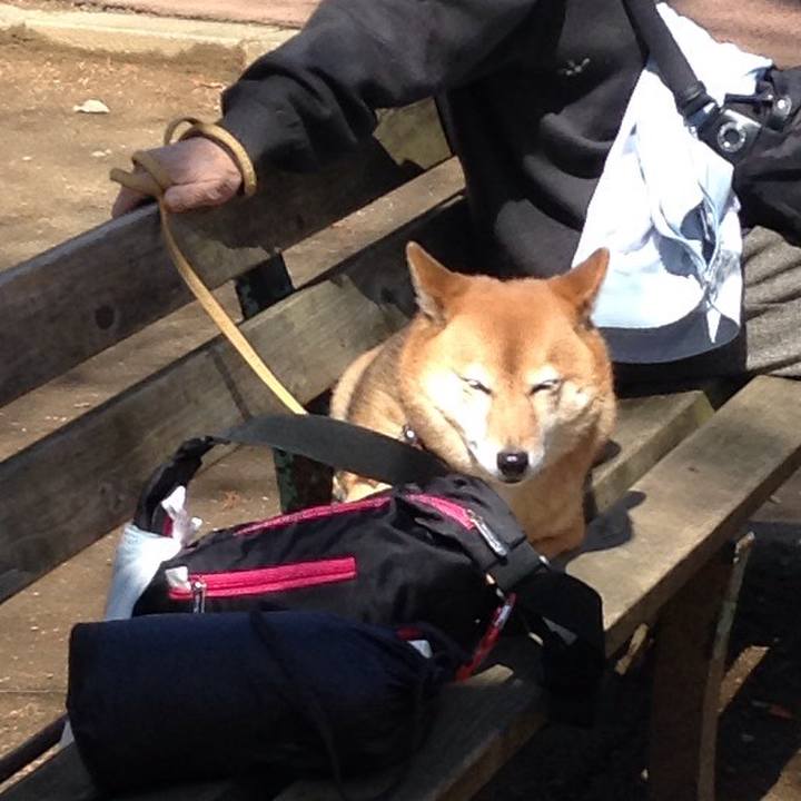 714566af 1936 4ecd 98d7 8302f7ef04a6 1521787389601