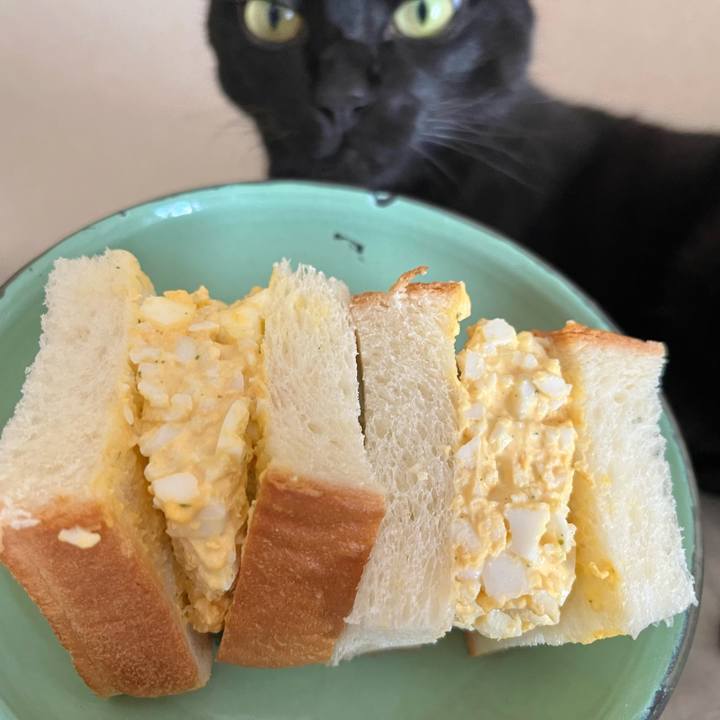 714570e4 b8b6 4c4b a25a 258acbd2ff43 1757290395338