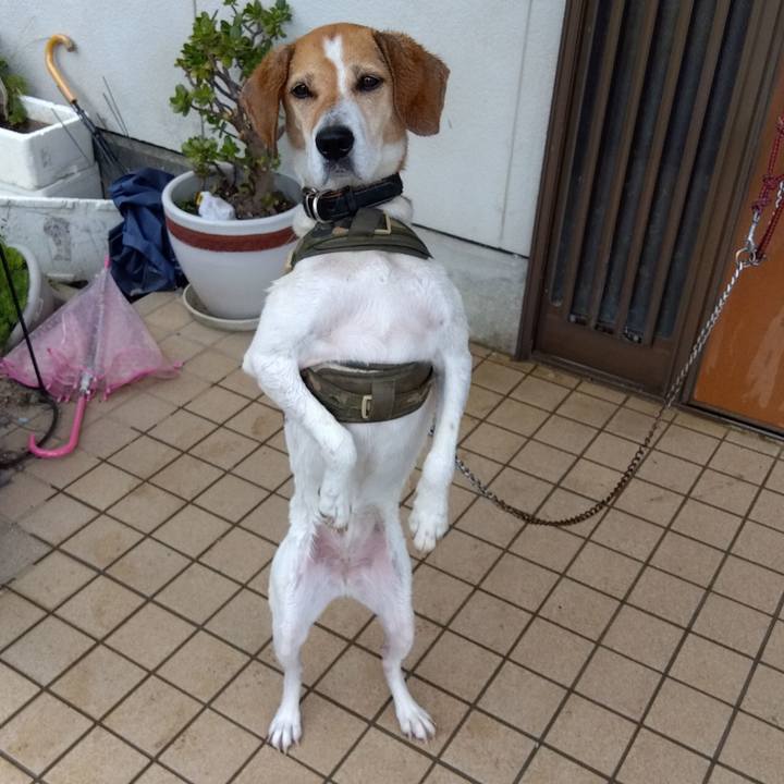 714572db 9c14 4288 be56 3b233b30ad6e 1687840567974