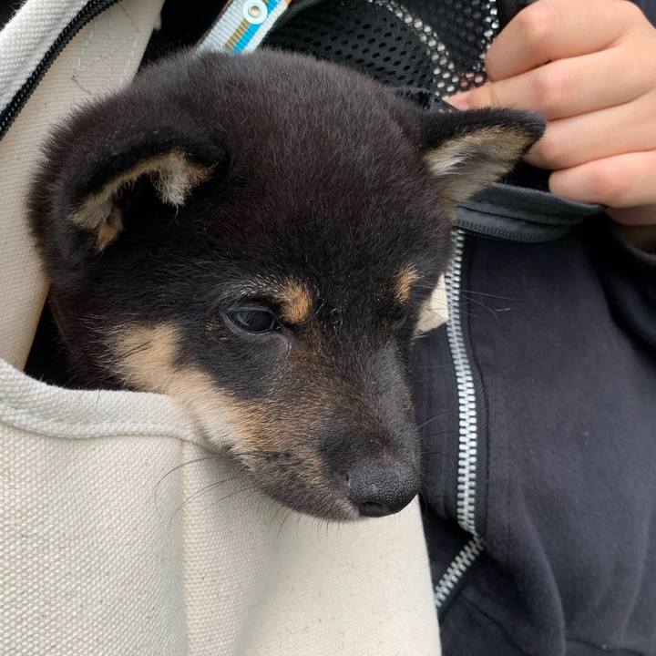 71459c70 310c 4a92 9feb b7612ae8d343 1600584131974