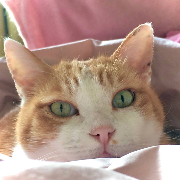 7145c63a f157 4c9f 9fde 57025978ff1c 1614059529890