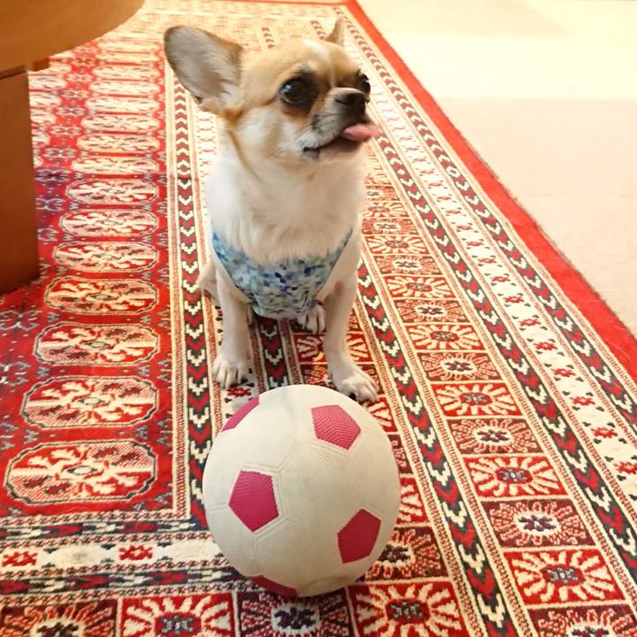 7145e1cc c3ad 4174 8779 67ccf0ad3caf 1563318856243