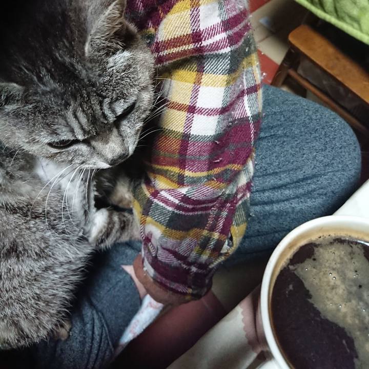 7145e7da 7cec 4317 bc67 8e0a91d11e2e 1588967589289