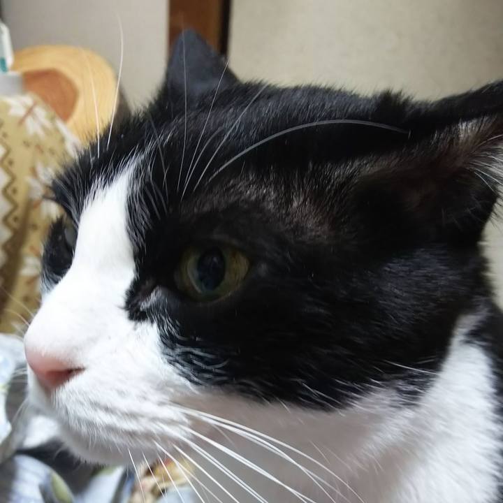 7145e839 c6a9 42bb 99ae a2e1b34f621e 1578604841994