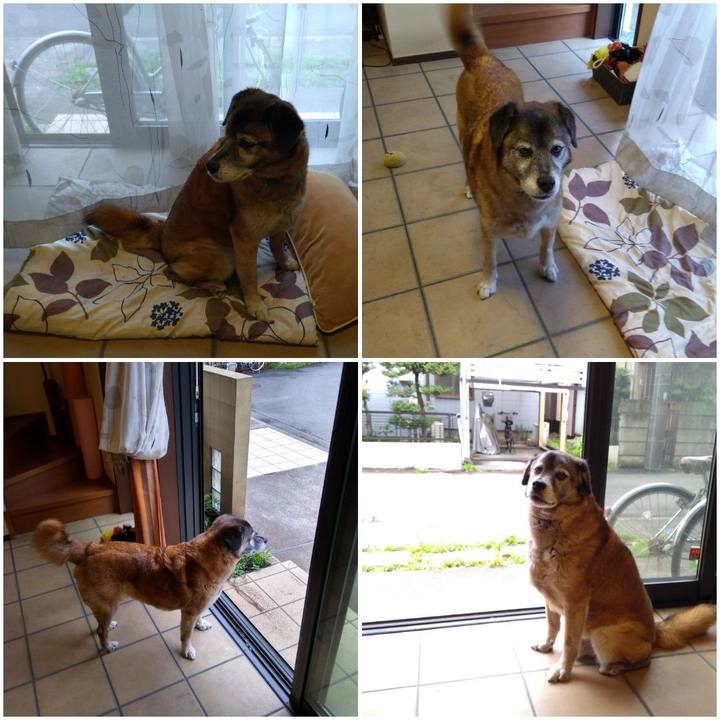 71460939 5eec 4115 8dde 80d84f363e46 1561771965679