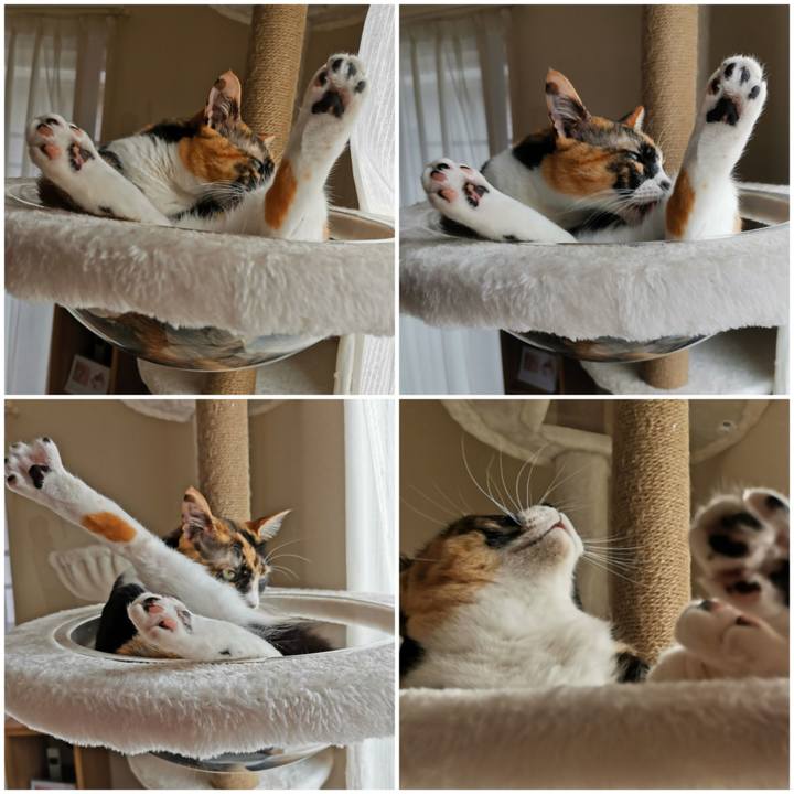 71463303 bb4a 47f0 a253 7cbe5504ce31 1656391849904