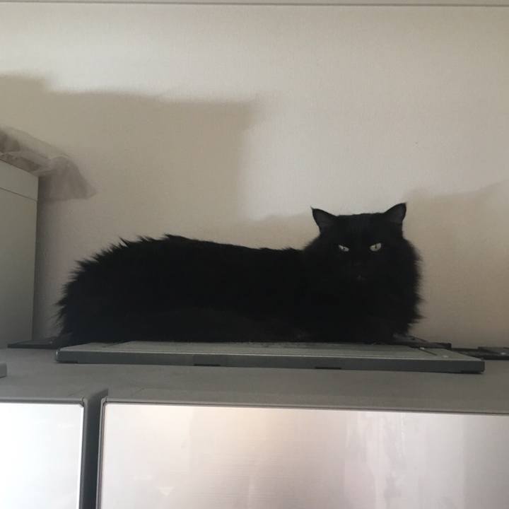 71466272 b373 4e8a 881a ddce2d02cfbf 1542937165277