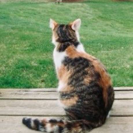 71469af2 a8bc 42be 8716 902185443cfb 1763781099085