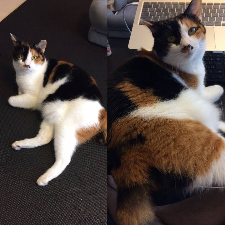 7146a4cd f31b 4e8c 94bb 3869cab17161 1593679061087