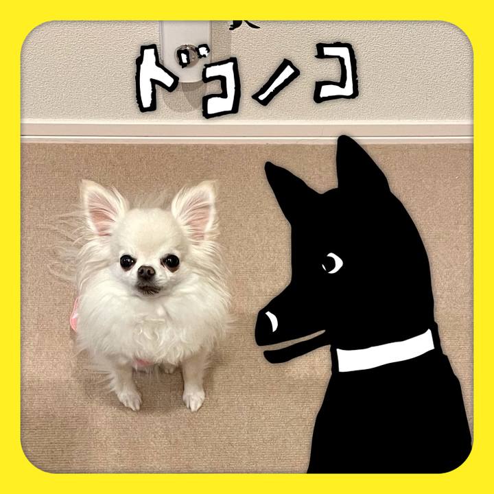 7146a889 9878 4b74 89e5 c39ecd16a740 1622963236751