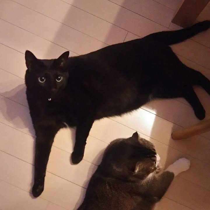 7146ca2c 943f 44b7 a7fa 60527a99d86d 1547810776835