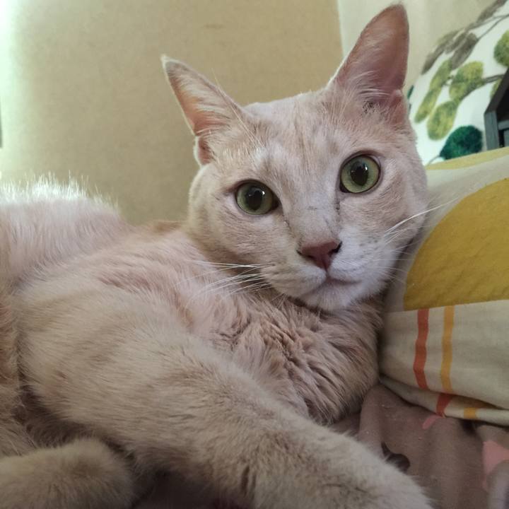 7146d6c6 9cce 4c83 8832 35ea9706b4c4 1537234190686