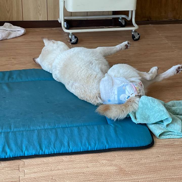 71471f3e dd92 4533 925f 3899fe7a5575 1663680158475