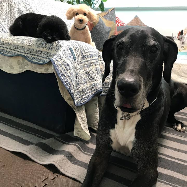 71480289 c3ef 4544 afde cde0289cb730 1537916416700