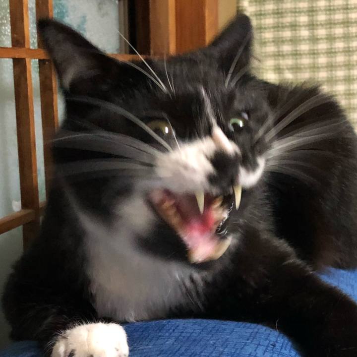 71485697 51f8 4d64 97bf a77930c0ca8e 1623474459483