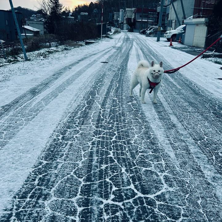 714883b9 3da1 4d4d b414 7d1128371067 1764372153174