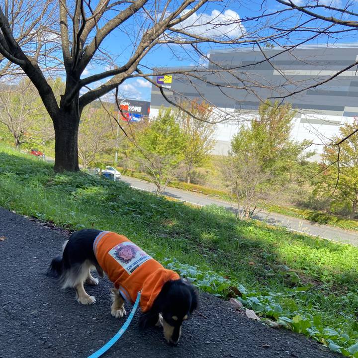 7148b8a5 c161 4b93 92f2 cdde724831d7 1728877840122