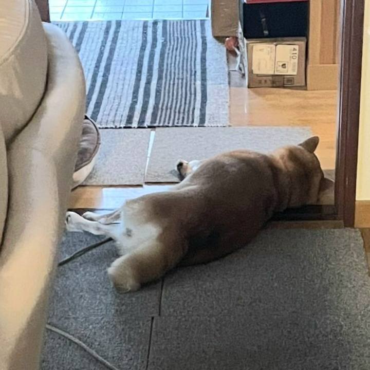 7148eddc 0525 4bd4 b60f 4ed93c498f65 1636427960704