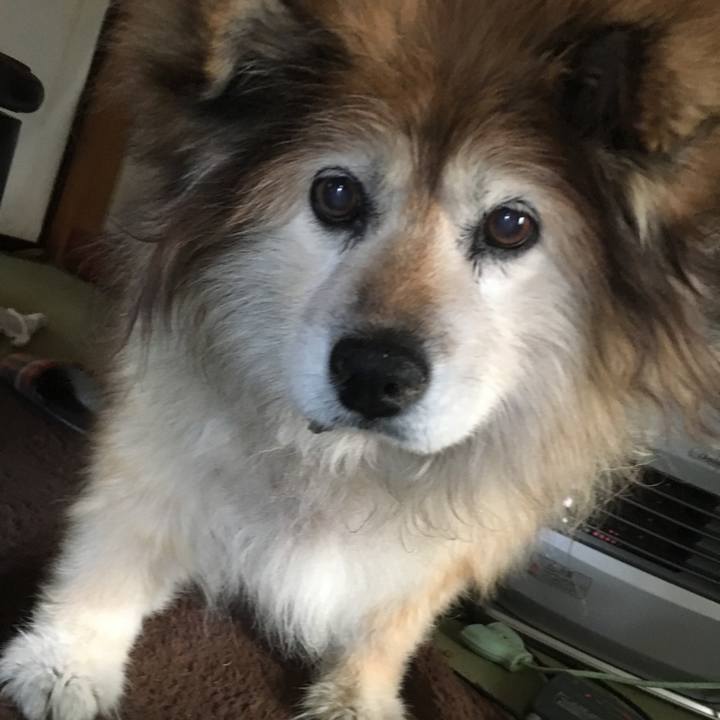 7148fc78 1f6e 46e9 b93c 6d0f2fb7747b 1629270411265