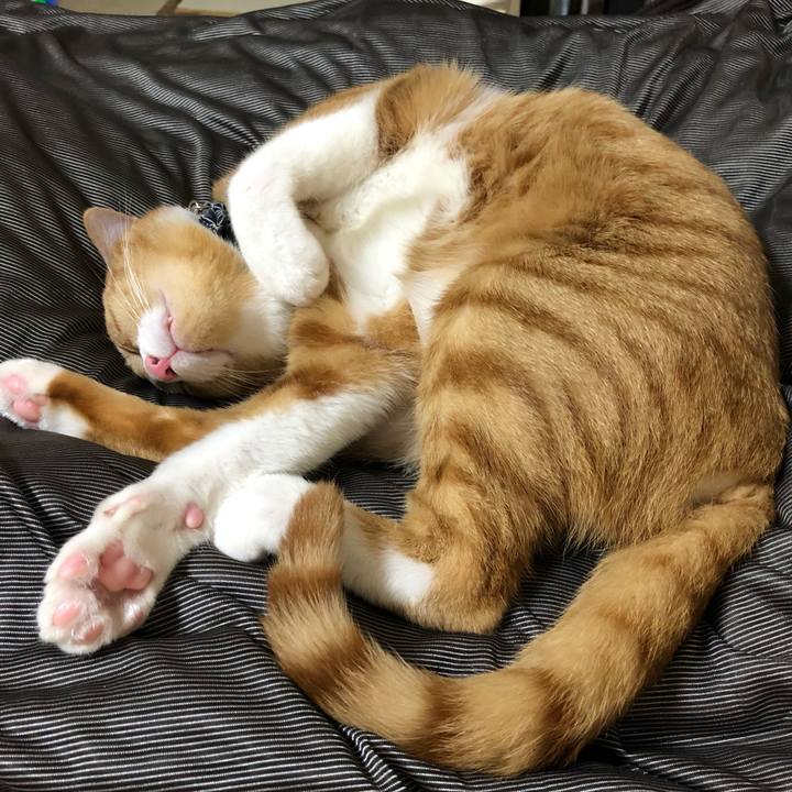 71490194 f598 4293 a538 d4161364a5c3 1559226883769