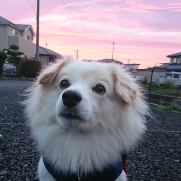 71493137 bbd2 479d 9361 532d7590ce38 1509570970739