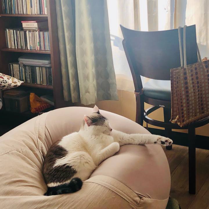 7149433f 4f7e 458d 8ccc 7fd63c7728f2 1640823103664