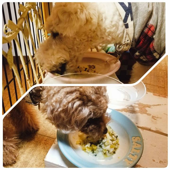 714a005e b895 425b 8aff 91bed66e0c3d 1520551645751