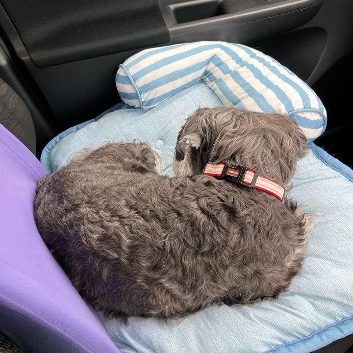 714a1e19 9b0b 4bad 9f3e 222da8303db2 1750645140287