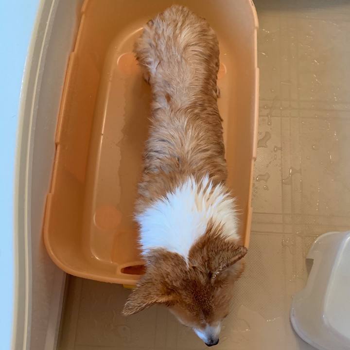 714a6104 7cf2 46b1 9290 70b6e294ebab 1565088929167