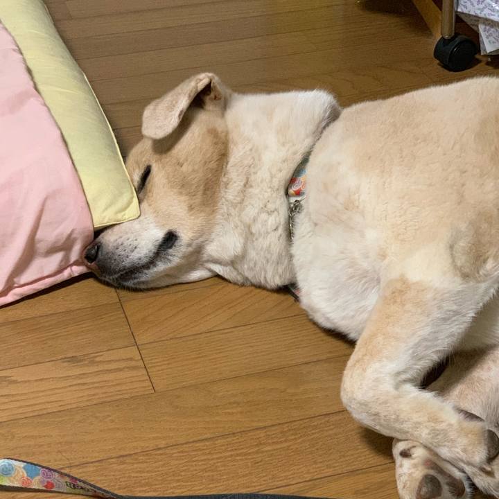 714a714e 913e 4b6b b1bf 56a9280ba5cf 1568040838208