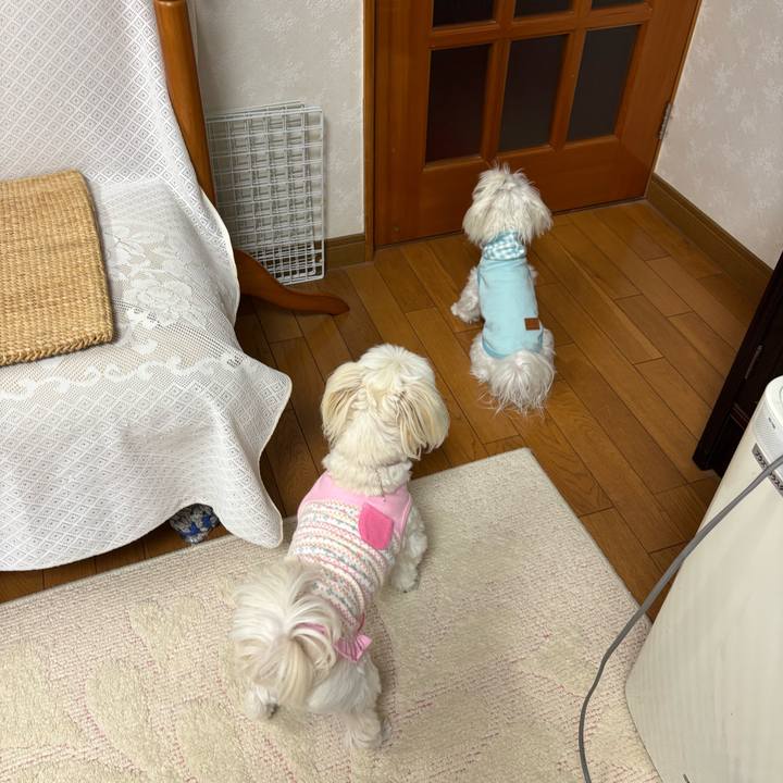 714a8bc5 dcbc 4cf1 a422 20dbff0f0f0a 1732703406512