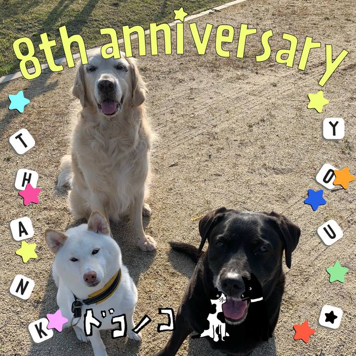 714a9c53 4f8c 4bc4 867b 3b788be8d7b6 1717586973385