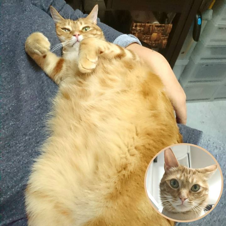 714ab66a 9ac4 4cac a25e 8037cc0e40a3 1557929705927