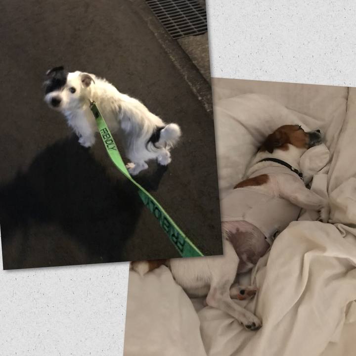 714ab73a 2689 47f7 bfdf ebfdf377a863 1534684669732