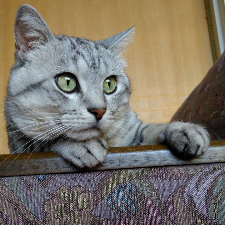 714acb42 5aa5 4e40 a2b7 013ef28c83db 1634092741804