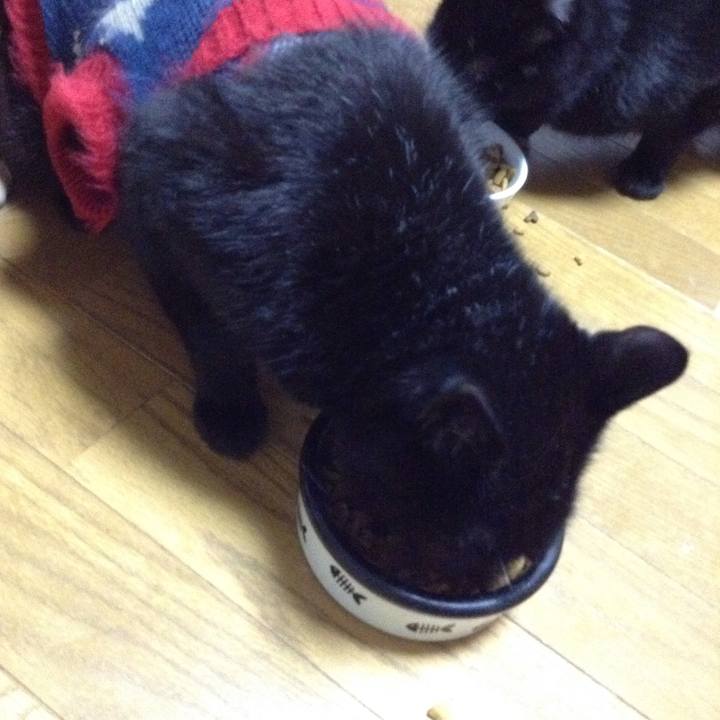 714aebaf fa9a 40d4 b2ac f75f3df965c7 1542230290386