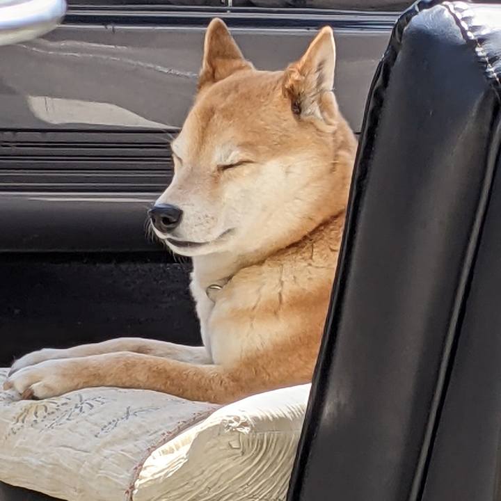 714b3073 1318 4139 ab51 0507126437f0 1615948281130