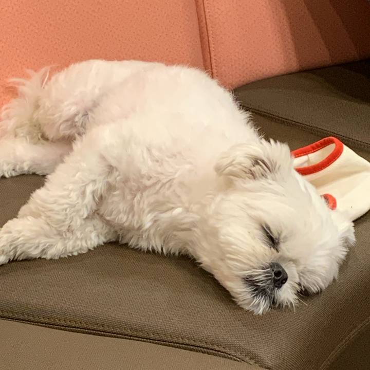 714b6072 0bdd 4d6e 8b36 b229c4e3dac6 1651408757919