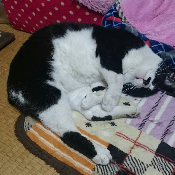 714b6f5b 335d 41a1 8f85 5be749e8d6a7 1520294186428